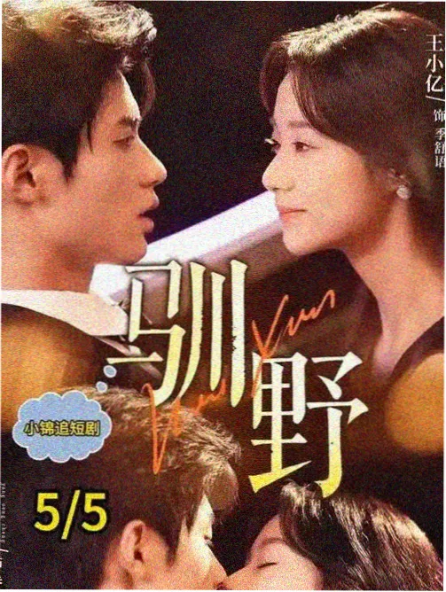 木浦的最后一班船 韩剧高清在线观看