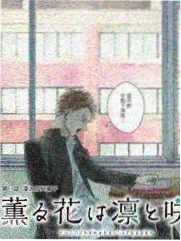 被低估的完结韩剧盘点